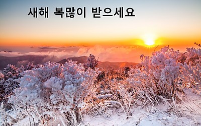 새해 복많이 받으세요.