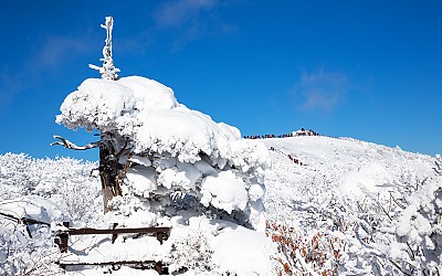 향적봉 설경