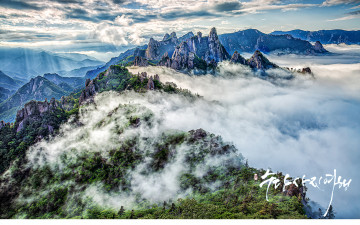 공룡능선의 여름나기