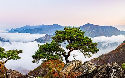 아름다운 가을풍경을