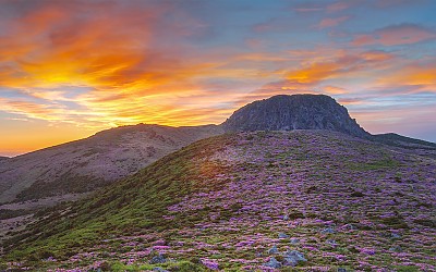 한라산의 빛