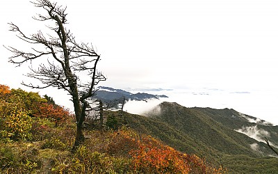 덕유산
