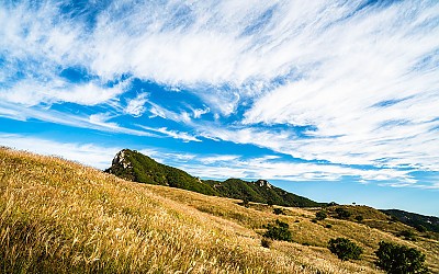 황매산 !