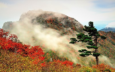 중봉에서 바라본 왕봉