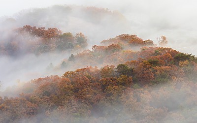 만산홍엽