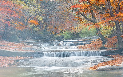 청태산 계류