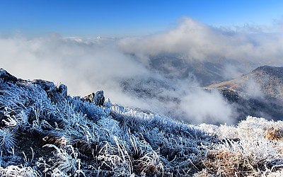 덕유산 상고대
