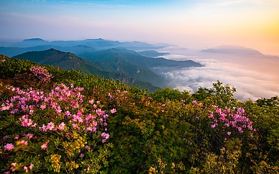신불산