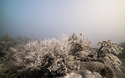 지리산 천상의 화원 상고대