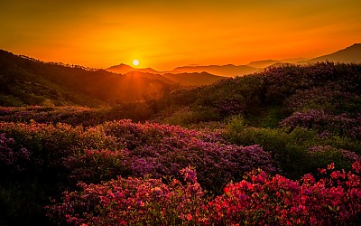 바래봉 팔랑치 능선의 일출