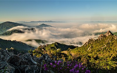귀때기청봉 진달래와 운해