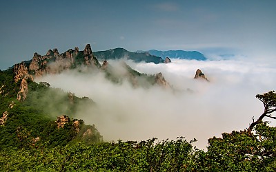 설악의멋