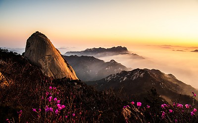 북한산운해와진달