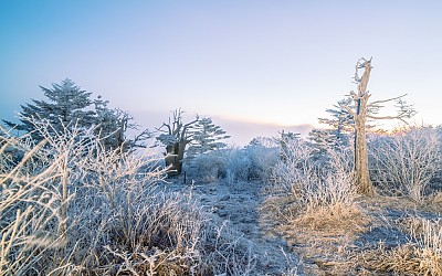 태백산의 11월말  국민포인트 1컷 올려 봅니다