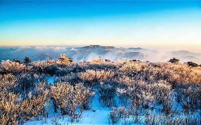 태백산 설경
