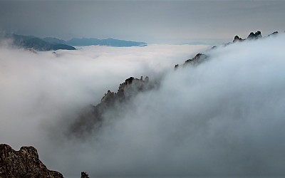 공룡에서 공룡을 보다.