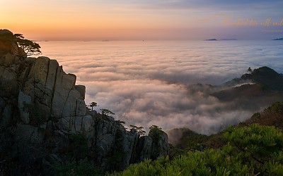 서울, 구름바다 되다