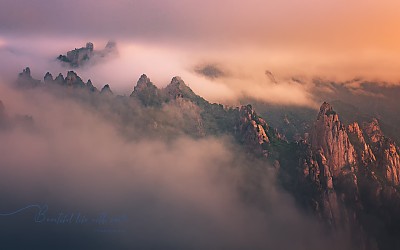 Dreamy Seorak