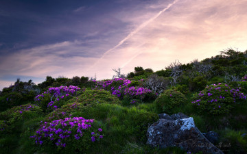 한라산, 여명에 오르며