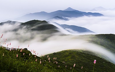 범꼬리 바람맞던날