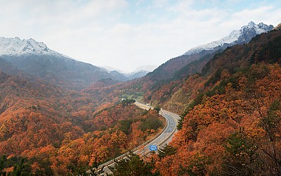 첫눈