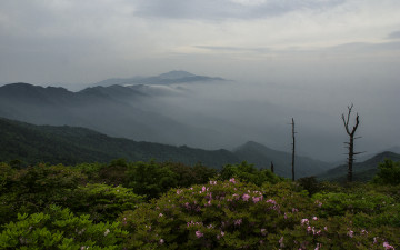추억의 지리산!