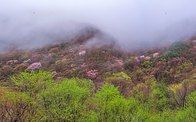 지리산지선과 계곡