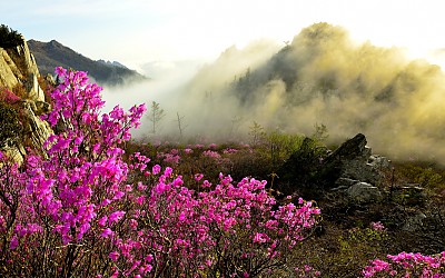 아쉬운 마음에,,,