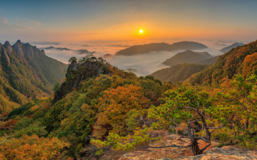 이제 완연히 가을 입니다...,,,,,