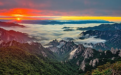 설악의 여름들,,,