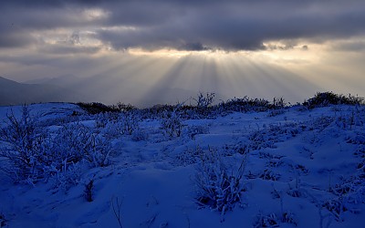 시원찮은 빛내림