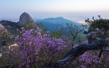 여명의 시간에..