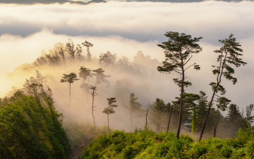 신록으로 가는 길목에서