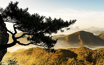 진안골 운해