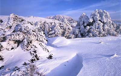 한라산.