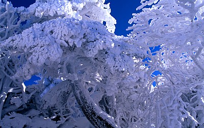덕유산.