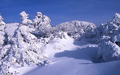 한라산.