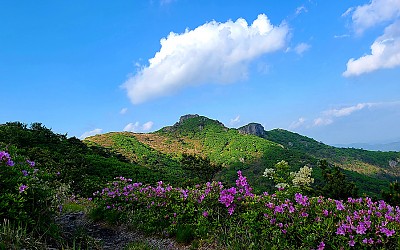 제암산.