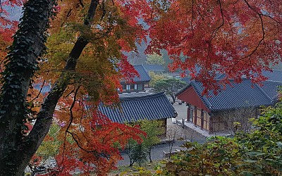 가을의 끝을잡고...