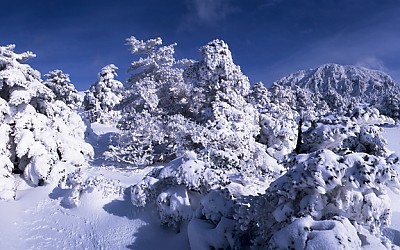 한라산.