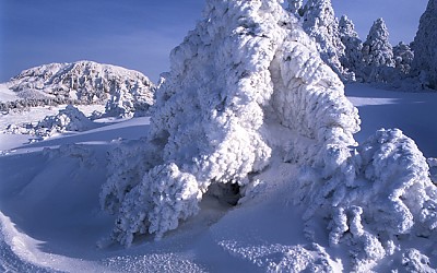 한라산.