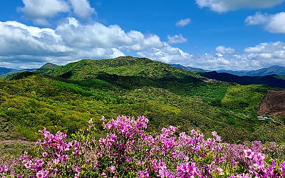 봉화산.