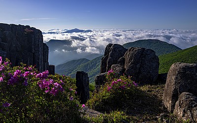무등산 입석대의 봄