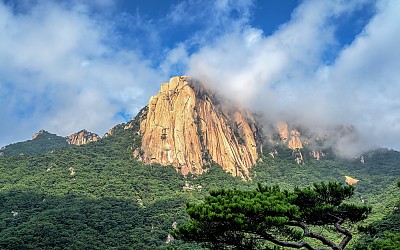 도 봉 산  에서..