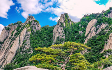 다락 능선에서..