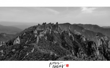 신선대  에서...