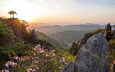 대둔산 신록