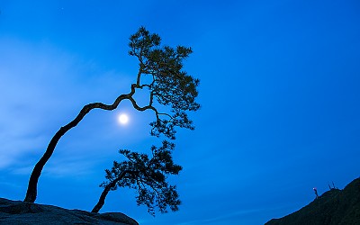 달밤에~