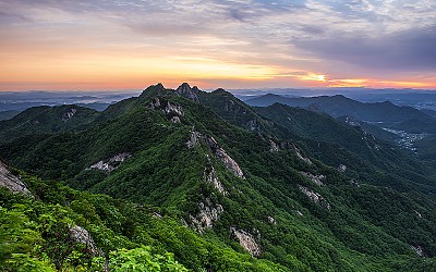 계룡산 신록