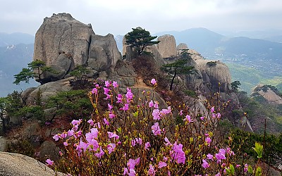 도봉산의봄